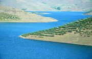 وضعیت آب ایران در تابستان ؛ ۵ سد بزرگ پر شدند