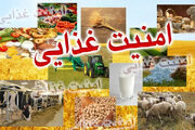 خبرهای خوب از امنیت غذایی در هفته جهاد کشاورزی