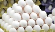 قیمت تخم مرغ امروز شنبه ۶ مرداد ۱۴۰۳+ جدول