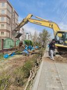 توضیح شهرداری درباره قطع درختان در پروژه تقاطع غیرهمسطح بزرگراه بسیج - محلاتی