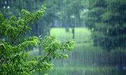 بارش سیل‌آسای بهاری در مازندران