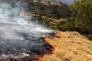 آتش سوزی گسترده در جنگل‌های زرنه ایوان + عکس