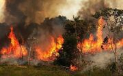 آتش سوزی در جنگل‌های زاگرس، میراث دولت سیزدهم برای دولت پزشکیان