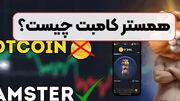 همسترکامبت چیست؟/ چرا پیام‌های joined to telegram زیاد شده است؟