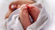 فرایند صدور گواهی تولد الکترونیک در بیمارستان‌ها / تشکیل پرونده سلامت نوزاد با صدور کد ملی