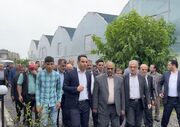 وزير جهاد کشاورزي از گلخانه 8 هزار متري کارآفرين موفق نوري بازديد کرد