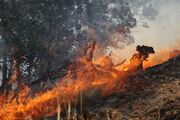 مهار آتش‌سوزی در جنگل‌ها و مراتع شلالدون باشت