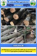 کشف و ضبط چوب قاچاق جنگلي در شهرستان مياندورود