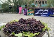 رييس اداره ميراث فرهنگي شهرستان کرمانشاه : اولين جشنواره انگور در روستاي چقاخزان شهرستان کرمانشاه برگزار شد