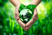 اقتصاد سبز؛ امکان‌ها و واقعیت‌ها
