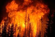 وقوع آتش‌سوزی هولناک در جنگل‌های ترکیه (فیلم)