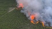 تخلیه یک شهر در لوئیزیانای آمریکا به دلیل آتش سوزی جنگلی
