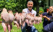 کباب کردن متفاوت 22 مرغ توسط خانواده آذربایجانی (فیلم)