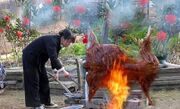 کباب کردن بره کامل و پخت سوپ گوشت توسط دختر روستایی چینی (فیلم)