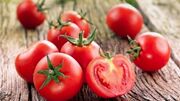 بارندگی در جنوب عامل افزایش قیمت گوجه فرنگی