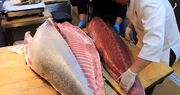 سرو تماشایی ساشیمی با گران‌ترین ماهی تن جهان توسط سرآشپز مشهور ژاپنی (فیلم)