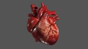 اقدامات اولیه به هنگام حمله قلبی (فیلم)