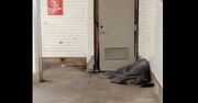 صحنه عجیبی که از یک بی‌خانمان ثبت شد (فیلم)