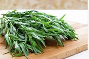 این سبزی را خشک کنید و به جای نمک در غذا ها و سر سفره استفاده کنید