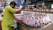 نحوه کباب کردن ده ها مرغ دور آتش ، توسط آشپز پاکستانی (فیلم)