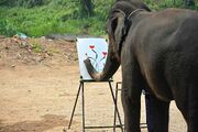 عجیب ترین فیل جهان که با نقاشی کشیدن صاحبش را پولدار کرد (فیلم)