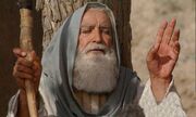 بازیگر نقش «یعقوب نبی» سریال یوسف پیامبر در 71 سالگی (عکس)