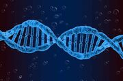 پژوهش جدید: محققان تأثیر شخصیت افراد بر بیان ژن‌ها در بدن را نشان دادند