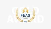 کسب نشان طلای بازارهای سهام FEAS توسط کارگزاری مفید