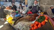 غذای خیابانی در پاکستان؛ طرز تهیه جگر سرخ شده پیشاوری (فیلم)