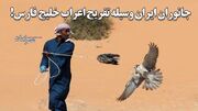 حیوانات ایران وسیله تفریح اعراب خلیج فارس! / چرا جلوی قاچاق حیات وحش را نمی‌گیرند / اصلا در جریان هستند؟ (فیلم)