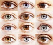 خطر عمل تغییر رنگ چشم برای افراد سالم/ تحت تاثیر فضای مجازی قرار نگیرید