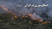 جنگل‌سوزی در ایران/ سالانه چند هزار هکتار جنگل‌ در ایران می‌سوزد/ تجهیزات نیست و مسوولان هم فکری نمی‌کنند (فیلم)