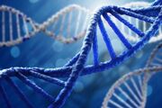 واکنش پزشکی قانونی به چرایی تاخیر در اعلام آزمایشات "DNA"