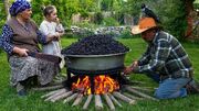 فرآیند دیدنی برداشت و تهیه شربت و مربا از توت سیاه در آذربایجان (فیلم)