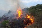 وقوع ۱۳۹ فقره آتش‌سوزی در جنگل‌های لرستان