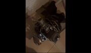 پیدا شدن موتور پهپاد یمنی «یافا» در یک منزل مسکونی در تل‌آویو (فیلم)