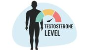 دانستنی های تستوسترون یک هورمون مردانه (اینفوگرافی)