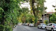 باغ‌های تهران قربانی آسفالت شدند؛ جزیره گرمایی پایتخت را بزرگ‌تر کرد (عکس)