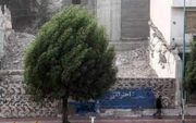 وزش باد شدید در تهران تا غروب سه‌شنبه