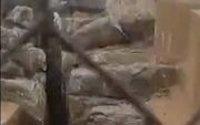 بازگشایی آبراهه‌های ۲۵۰۰ ساله تخت جمشید مقابل گردشگران