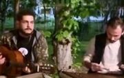 هم‌نوازی دو جوان خوش‌ذوق در پارک قیطریه