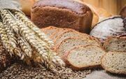 اثر مفید مصرف نان کامل بر سلامتی