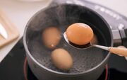 چگونه برای کاهش وزن تخم مرغ بخوریم؟