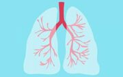 پیشنهادهای تغذیه‌ای برای بیماران مبتلا به آسم