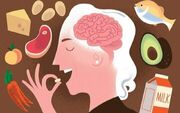 خوراکی‌هایی که نمی‌گذارند آلزایمر بگیرید