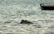 واژگونی قایق در افغانستان ۲۰ قربانی گرفت