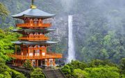 5 دلیل برای سفر به ژاپن: سفری که نباید آن را از دست داد