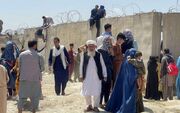 نسخه تبلیغاتی قالیباف در مورد مهاجران افغان