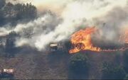 دود غلیظ ناشی از آتش‌سوزی جنگل‌های قبرس