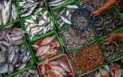 چرا مصرف ماهی در ایران بسیار پایین است؟